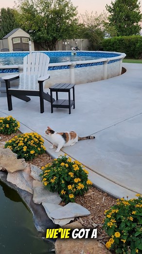 #PoolStorage #HomeDepotHack #BestwayPool #PoolSeason #BackyardLife #OrganizedHome #SummerEssentials #PoolMaintenance #DIYStorage #170GallonTote #PoolOwnerTips #CleanAndTidy #SmartStorageSolutions #EndOfSeasonCleanup #poollife | Simple Choice