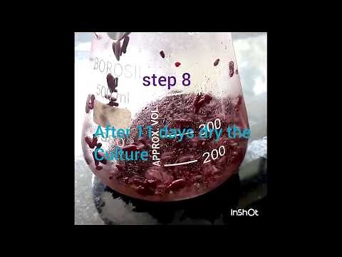 Red Yeast Rice production - Functional Food