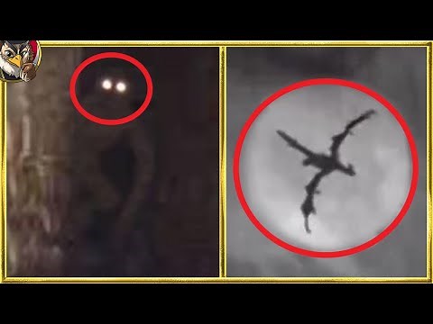 10 mythical creatures caught on camera