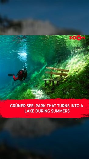2.3K views · 5 comments | Discover the enchanting transformation of Gruner See, Austria's hidden gem  In winter, it’s a serene hiking trail, but come spring, it turns into an underwater paradise with crystal-clear, emerald green waters. Watch the video for more details about this unique natural wonder. #zoomtv #cuttingedge #austria #grunersea #fyp | Zoom TV | Facebook