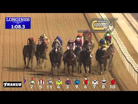 CALIFORNIA CHROME wins the 2016 Dubai World Cup!