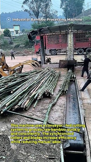 Insane Bamboo Processing Machine at Work #Engineering #Industrial #USA