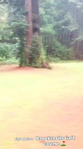 Little rainy in the mountains today, Lets drop down in and go fly around a beautiful Golf/FrisbeeGolf course nestled among some redwood giants in Brooktrails California. As.often the case in Mendocino County we have the whole place to ourselves. #hobby #dronephotography #mendocinocounty #golfcourse #frisbeegolf #redwoodforest | Ryan Ballou