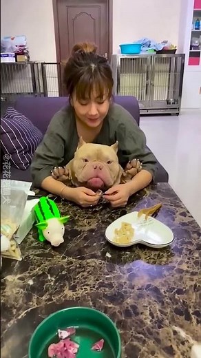 Her First Time as a Mom 🥹🐾