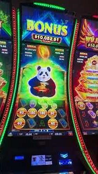 Panda slot machine buying a bonus feature $50￼
