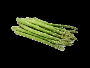 asparagus song - gunther s. blompson