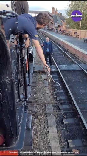 Why Is Token Exchange In Train #shorts #ytshorts