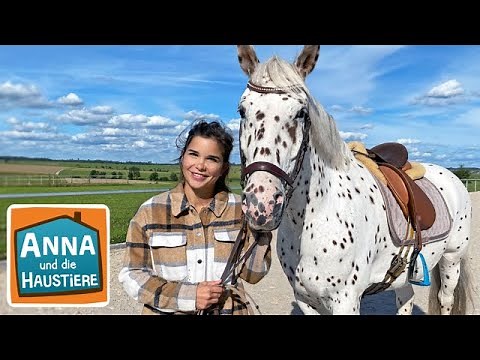 Knabstrupper | Information für Kinder | Anna und die Haustiere