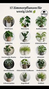 🌿 17 Zimmerpflanzen für wenig Licht – grün wohnen auch ohne Sonne 🌿 Nicht jede Wohnung ist lichtdurchflutet – und trotzdem musst du nicht auf Pflanzen verzichten. Viele Zimmerpflanzen fühlen sich auch in schattigen Ecken, Fluren oder Räumen mit Nordfenster wohl und bringen Frische, Ruhe und ein natürliches Wohngefühl in dein Zuhause. 🍃✨ 🪴 Benötigte Materialien & Hilfsmittel: Geeignete Zimmerpflanzen für wenig Licht (z. B. Zamioculcas, Sansevieria, Einblatt, Efeutute) Pflanzentöpfe mit Abflus
