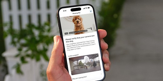 Ring's Search Party helps reunite more than one lost dog a day—now available to everyone