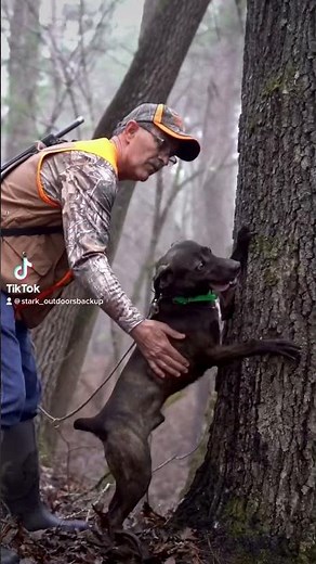 Squirrel Hunting with dogs 🐿️