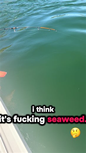 First Australian Salmon Catch: Stay Tuned for More!