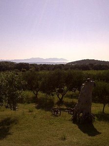 The Guardian Gives Tips on Finding Best Seafood in Croatia - Total Croatia