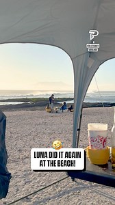 132K views · 2.8K reactions | Why does the dog have a human face? 藍 | Pubity | Facebook