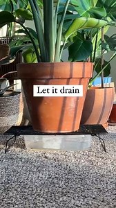 388K views · 2.5K reactions | Green Thumbs Up on Reels | Facebook