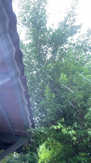 Heavy Rain Sounds for Sleeping 🌧️ | Real Rain on a Roof #shorts