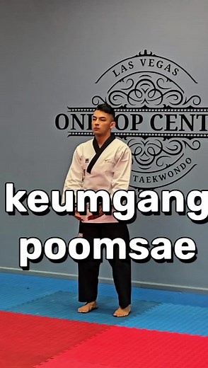 Keumgang Poomsae in Taekwondo Practice