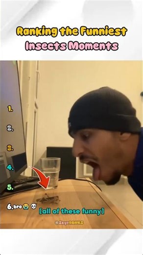 Ranking the Funniest Bug Moments