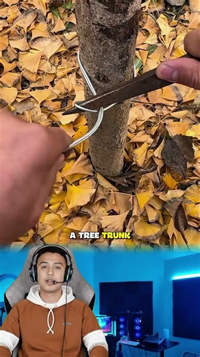 Easy Way to Make a Strong Wire Tie on Trees