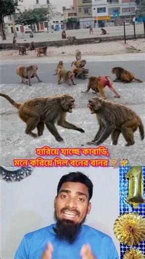 Amazing Kabaddi game of monkeys 😱 #sorts #video #youtubeshorts