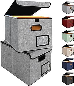 BALEINE File Organizer Box with Lid, Collapsible File Folder Organizer with Plastic Slide, Hanging File Folder Box for Office Document Storage (2 Pack, Grey)