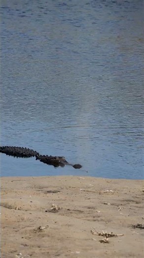 It's the one you don't see...