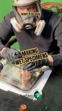 Picked up little ones that didn’t make it. #molinarosnakelab #oddities #wetspecimen #vultureculture