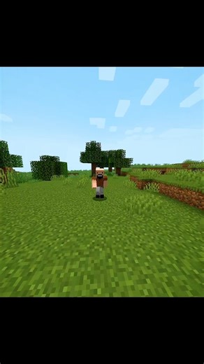 Java players will NEVER understand this pain 😭