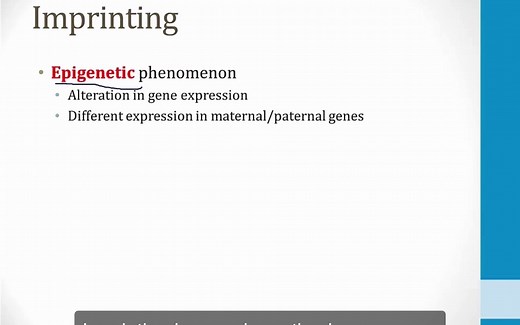 USMLE Step1/Boards and Beyond/Genetics