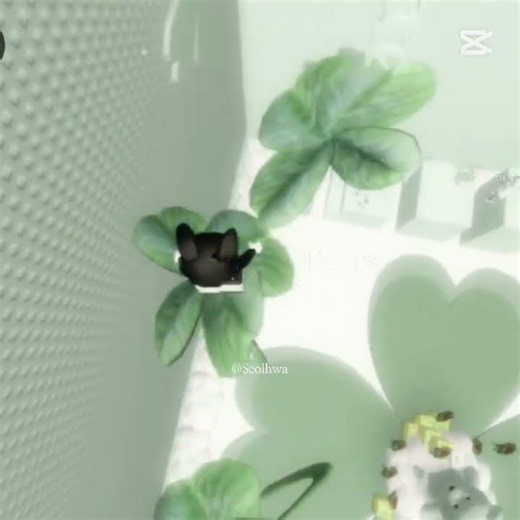 슬픈 꽃말 모음💐🌿