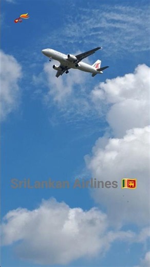 BIA SL 207 # Sri Lankan Airline # බණ්ඩාරනායක ජාත්‍යන්තර ගුවන් තොටුපොල # BIA # Airline # Aviation