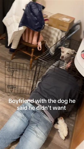 She doesn't want to come out and go potty #dog #fypシ゚viral #boyfriend #spoiled #dogsoftiktok @Ryan Baughn🎸