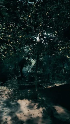 HAUNTED PARK 💀 (Full video on Channel) #rishavmalik666 #shorts #hauntedpark