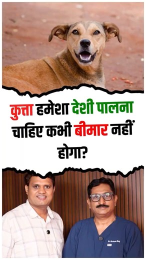 Why Indian Dogs Are Better Than Foreign Breeds | Dr. Gautam Unny Explains