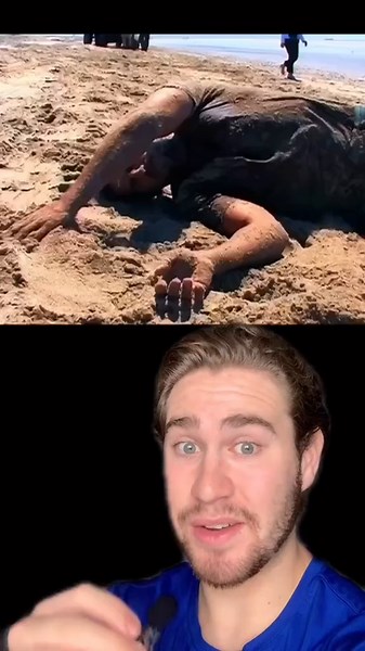 This man is actually built different 😤 Follow for more!! 🤯 #davidblaine #LearnOnTikTok #TikTokPartner