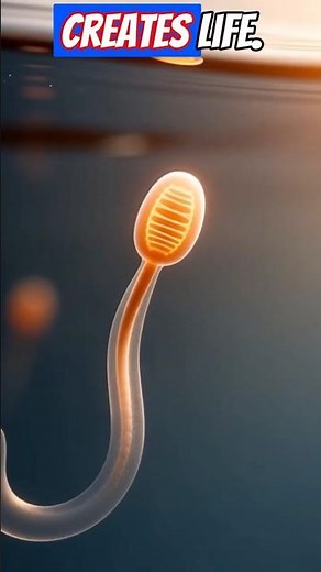 What Sperm Really Looks Like Under a Microscope #babydevelopment #universe #biologyfacts