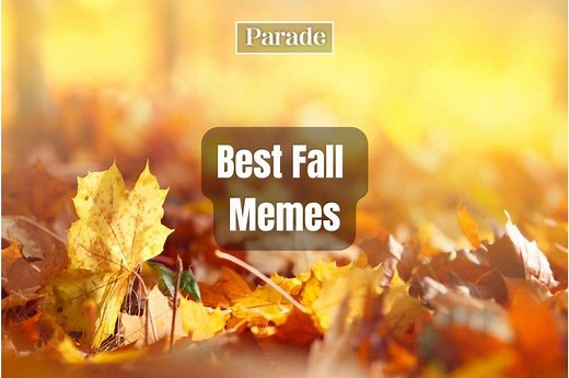 Lattes, Laughter and the 40 Best Fall Memes