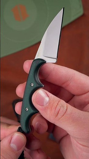 5 Great Neck Knives to Check Out Today!