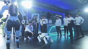 Meet Argos, the adorable robo-dog at the O&J Showroom! 🐕🤖 Carrying water in its little basket, it's winning hearts and keeping everyone hydrated! 💦😍 #AIMOGA #YourTrustedAssistant #ForUsForFuture #OMODA #JAECOO #Argos #OmodaJaecoo | Omoda&Jaecoo Global