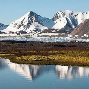 Characteristics of the Tundra: Climate, flora, fauna and more ▷➡️ Postposmo