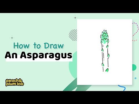 How To Draw An Asparagus | Step by Step