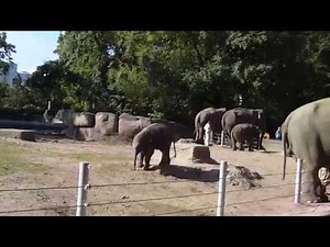 Tierpark Hagenbeck, 1. Teil