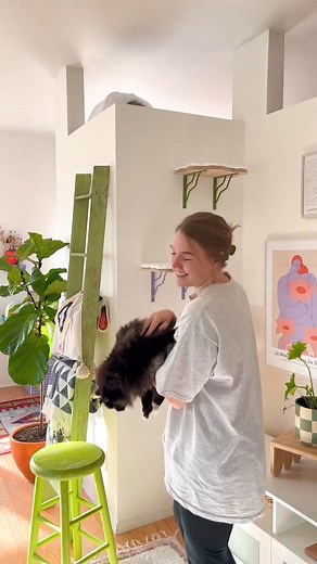 Replying to @mia_the_marleen Litter Box Update! 🐈‍⬛🌈 #diy #fbreels #reelsfb #fyp | Blondesigns