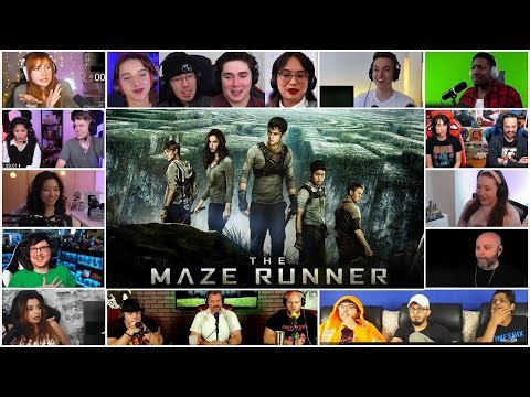 [FULL] The Maze Runner (2014) Reaction Mashup