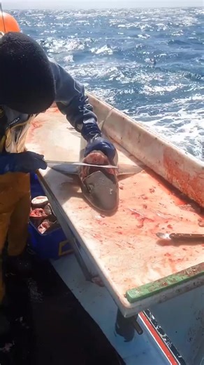 Big fish cutting in Ship #fishcutting #fishcuttinglover #activeflowers #tunafish | Fish cutting Lover