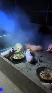 Nay tổ chức Year End Party sớm cho anh em trước khi lên đường làm nhiệm vụ Tết 🤣 Video: Trọng Bùi | Music VN