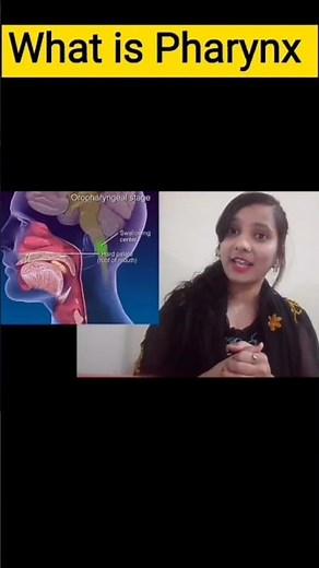 #short pharynx kya hota hai pharynx function definition pharynx l pharynx anatomy l pharynx larynx
