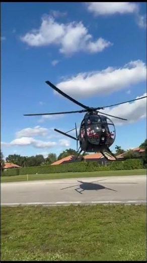 HUGHES 369A For Sale