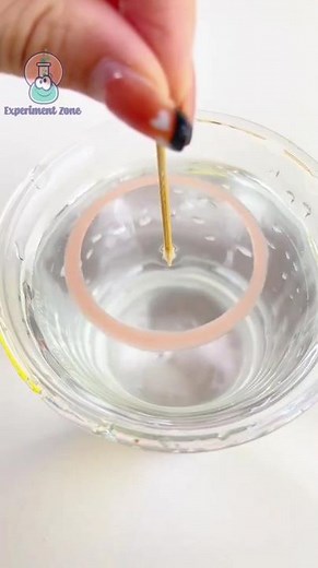 Watch the Magic of Water! | DIY Science Experiment! #WaterMagic