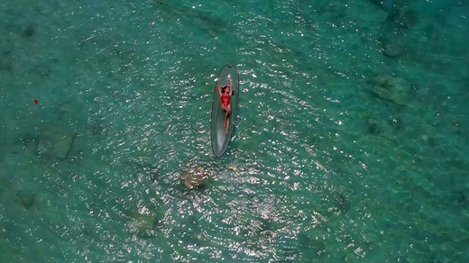 146K views · 4.2K reactions | Miss World Trinidad and Tobago Official Introduction Video ✨ So much time, effort and love went into making this video! I hope you enjoy getting to learn a little more about me and my beautiful country!  | Miss World - Trinidad & Tobago | Facebook